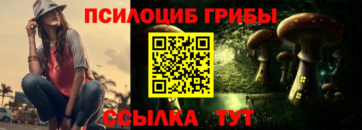 Галлюциногенные грибы Magic Shrooms Куйбышев